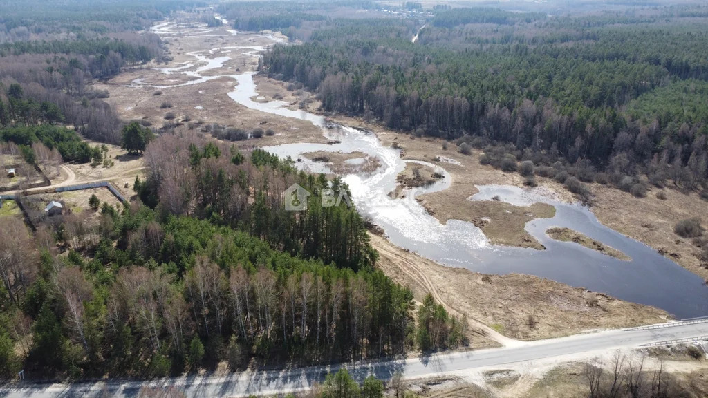 Судогодский район, село Чамерево, Новая улица,  земля на продажу - Фото 4