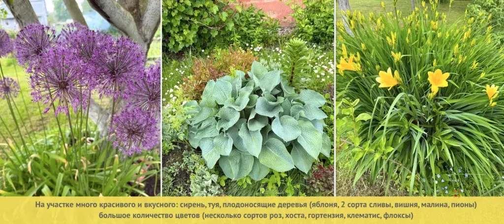 Продается дом Чеховский район, СНТ "Дружба" - Фото 4