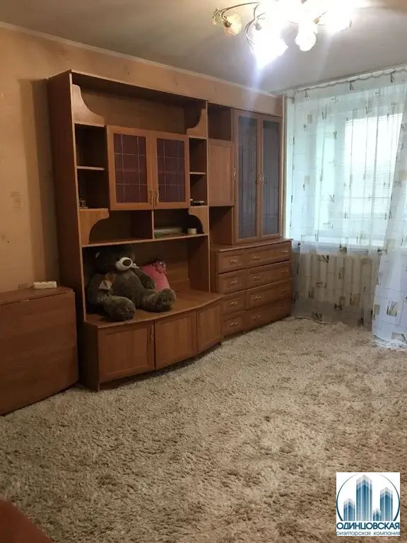 Аренда 1-комн. квартиры в Одинцово Л.Новоселовой бул., 4к1 - Фото 9