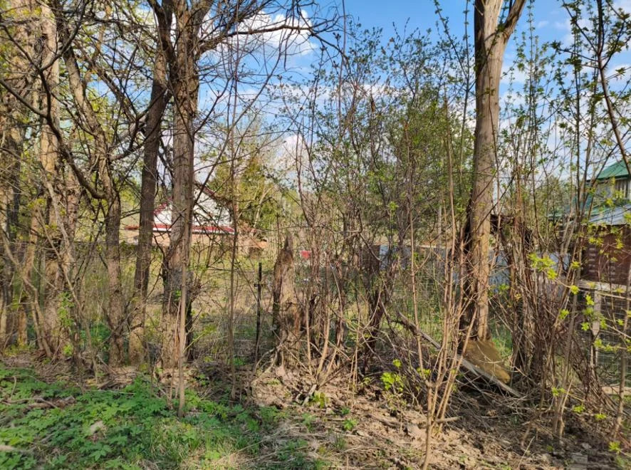 Земельный участок, 7,54 сот. - Фото 1