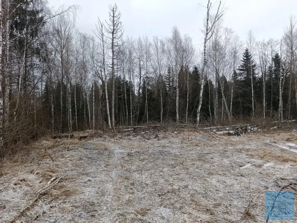 20 соток ИЖС в д. Судниково - Фото 5