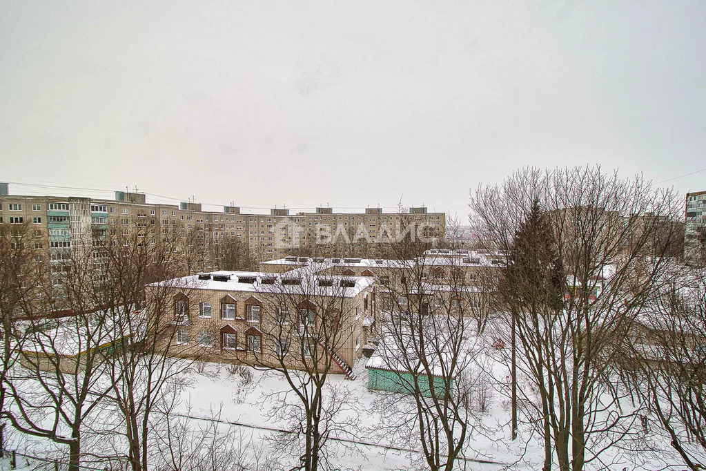 городской округ Владимир, улица Безыменского, д.17Г, 1-комнатная ... - Фото 8