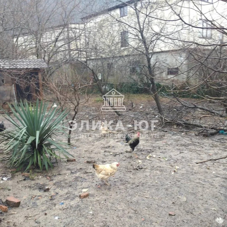 Продажа дома, Ольгинка, Туапсинский район, ул. Черноморская - Фото 9