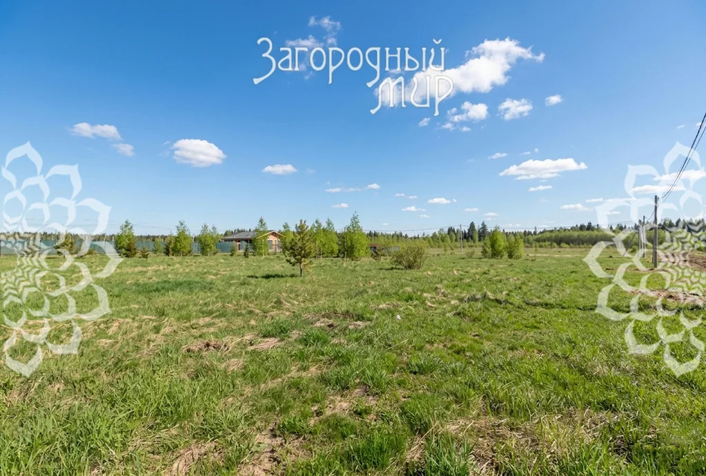 Продам участок, Волоколамское шоссе, 35 км от МКАД - Фото 4
