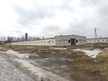 Продажа производственного помещения, Телези, Ломоносовский район - Фото 6