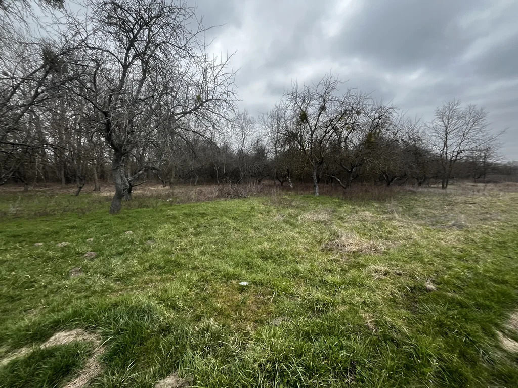 Продажа участка, Смоленская, Северский район - Фото 1