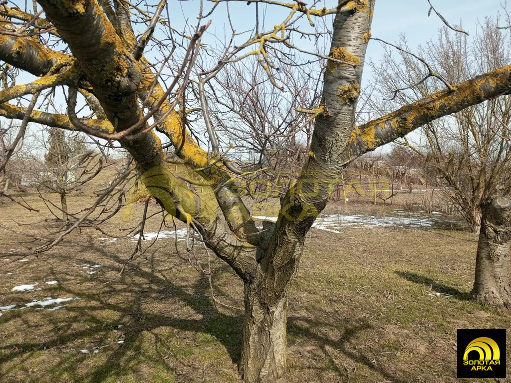 Продажа участка, Стрелка, Темрюкский район, ул. Коммунаров - Фото 4