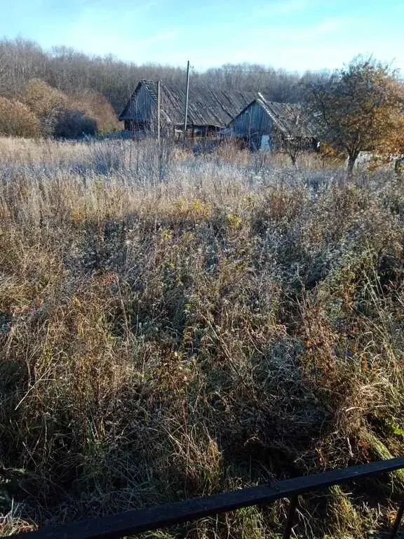 Продаю дом в Ленинградская обл. п. Пудость - Фото 16