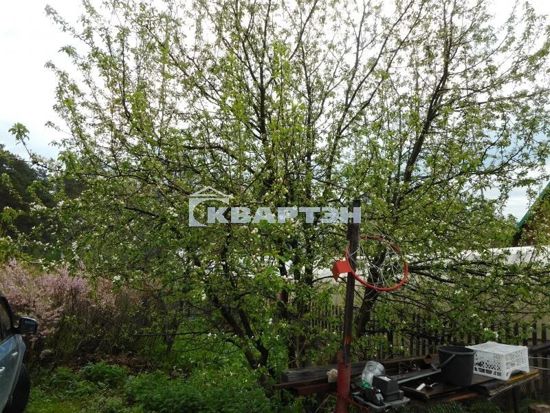 Продажа дома, Кубовая, Новосибирский район, ул. Саратовская - Фото 11