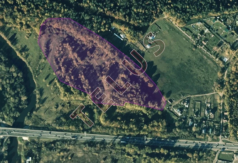 МО, Богородский г.о., с. Богослово, Земельный участок 7 га (ном. ... - Фото 3