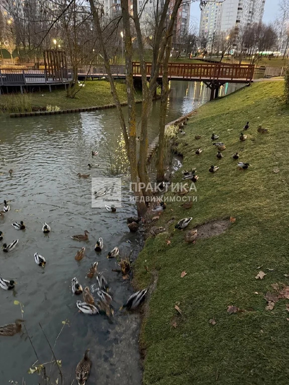 Продажа квартиры, ул. Чертановская - Фото 15