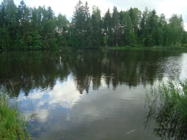 Продается дача в СНТ на берегу озера рядом с Боровском. - Фото 0