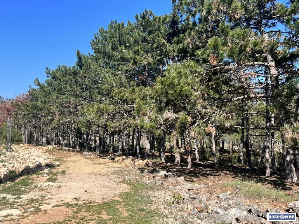 Продается Дом - Фото 16