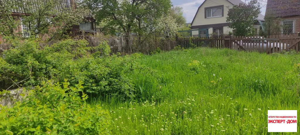 Продажа участка, Мержаново, Неклиновский район, Голубые ели сад - Фото 4