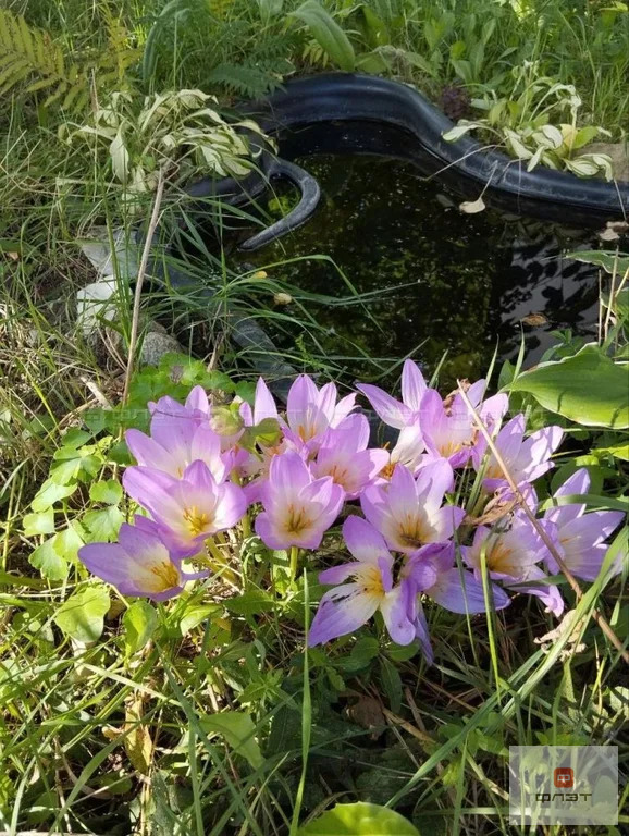 Продажа дома, Высокогорский район, Участок - Фото 4