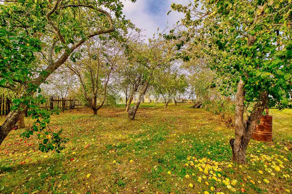 Суздальский район, село Борисовское, Церковная улица, дом на продажу - Фото 25