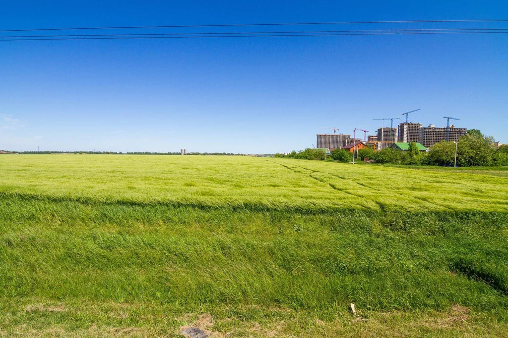 Продается земельный участок 1961 сот. - Фото 9