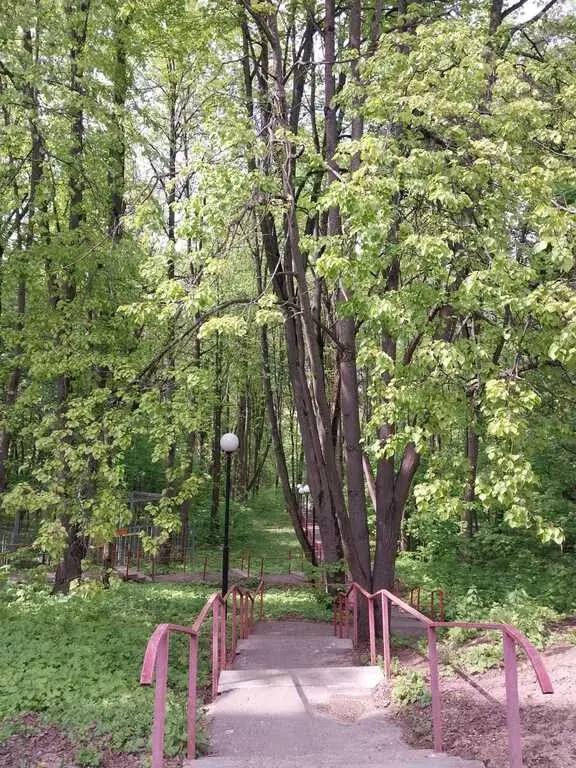 2-к.п.Барвиха, д.14 - Фото 14