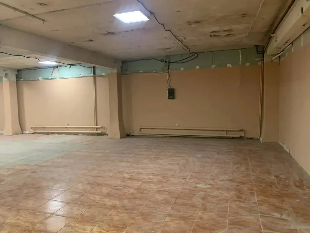 Помещение свободного назначения 160 кв.м. - Фото 4