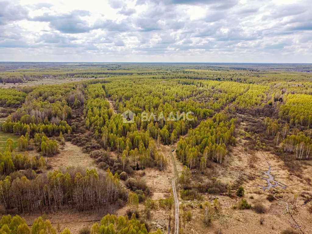 Судогодский район, деревня Кощеево, земля на продажу - Фото 2