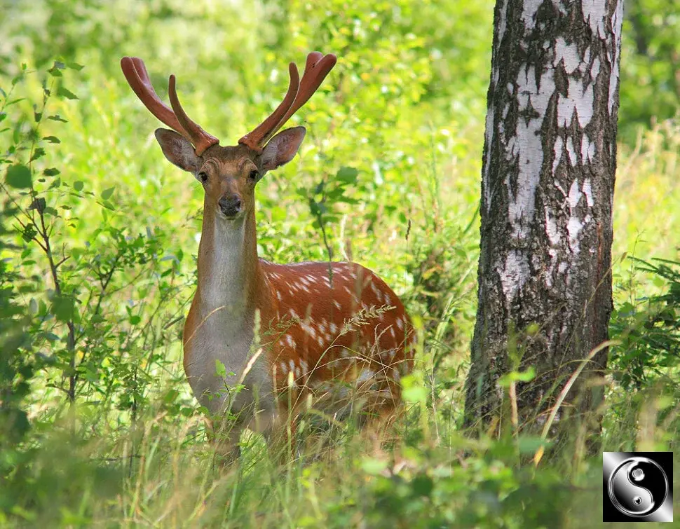 2-к. квартира, 60 м, 3/12 эт.Moсква, Яpocлавское шоcсe, 8к2 С - Фото 14