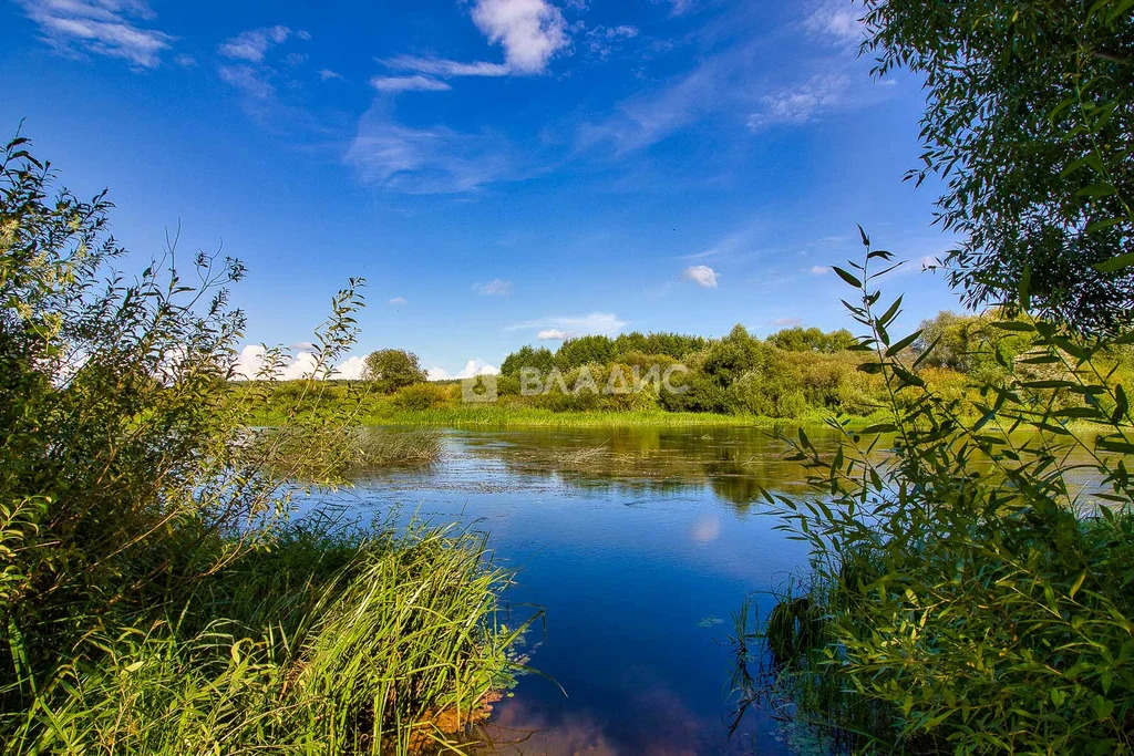 Суздальский район, село Спасское Городище, Школьная улица,  дом на ... - Фото 10