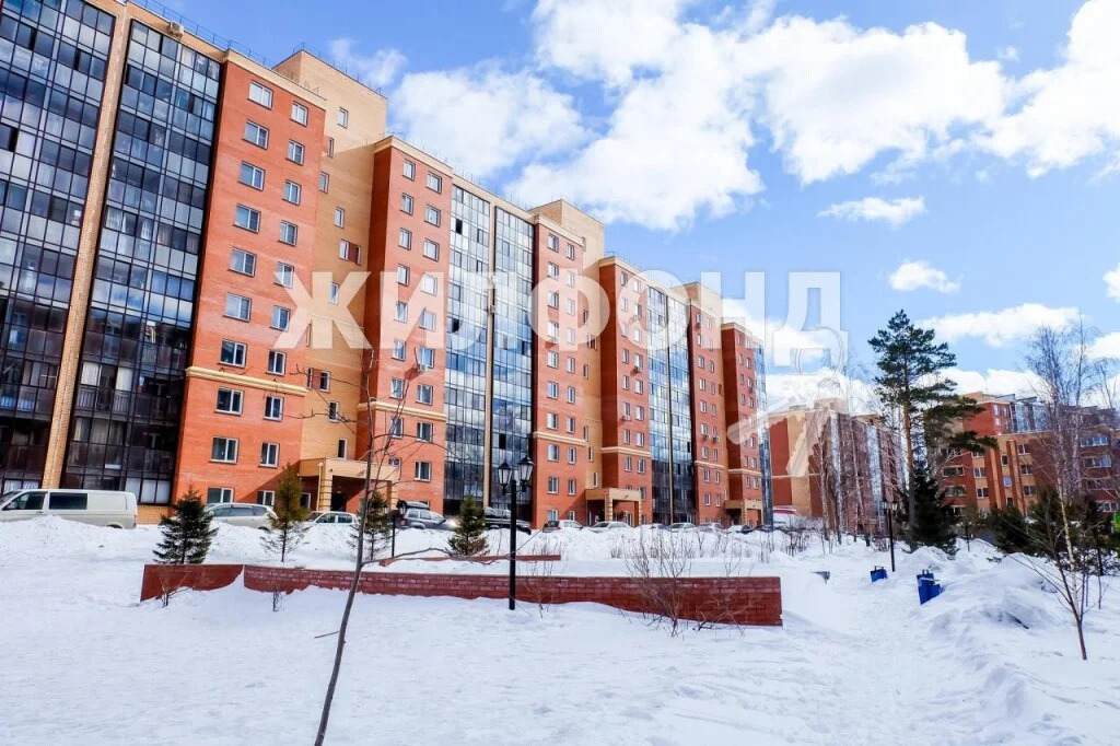 Продажа квартиры, Новосибирск, микрорайон Стрижи - Фото 23