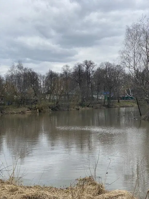 Продам участок Счастье совсем бесплатно Тульская область, д. Сетка - Фото 9