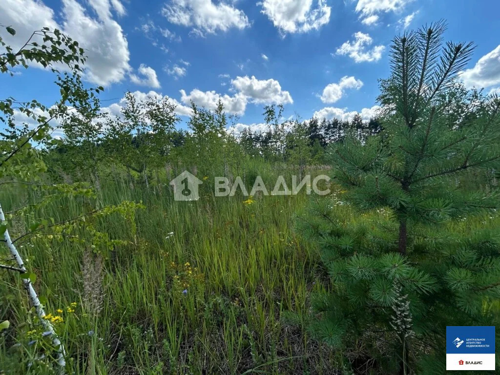 Продажа участка, Семкино, Рязанский район, коттеджный посёлок Сёмкина ... - Фото 4