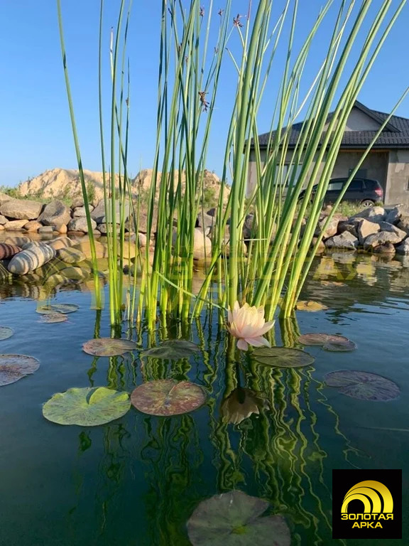 Продажа дома, Таманский, Темрюкский район, ул. Кубанская - Фото 11