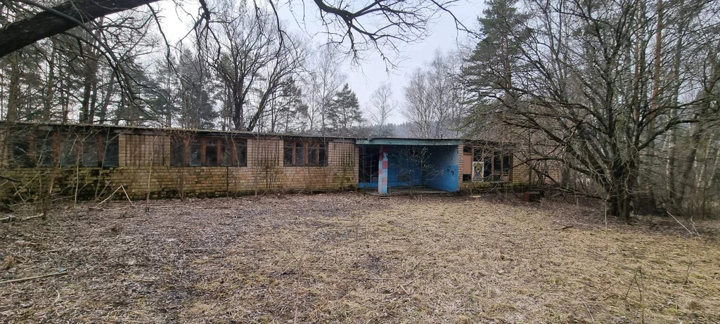 База отдыха "Лесные дали" - Фото 20