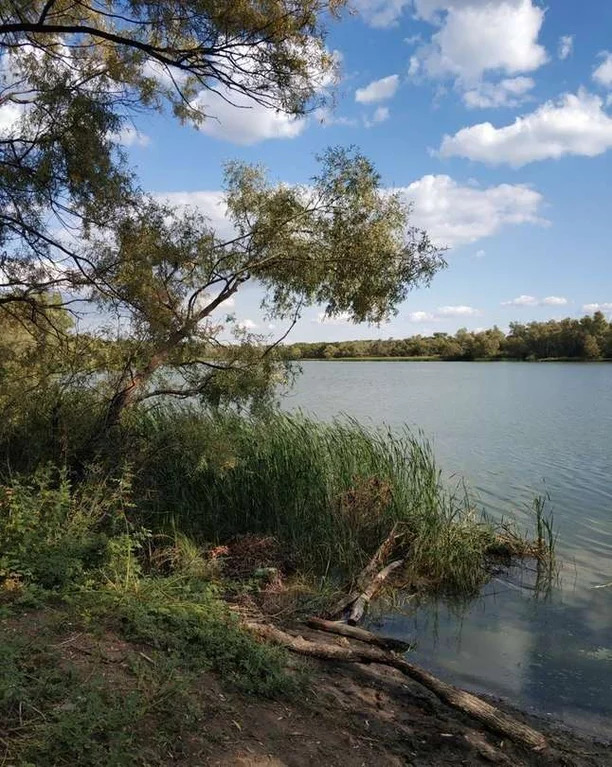 Елшанка Саратов водоём