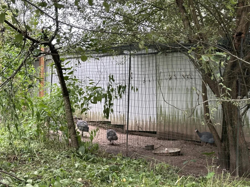 Продажа участка, Внуково, Дмитровский район - Фото 15