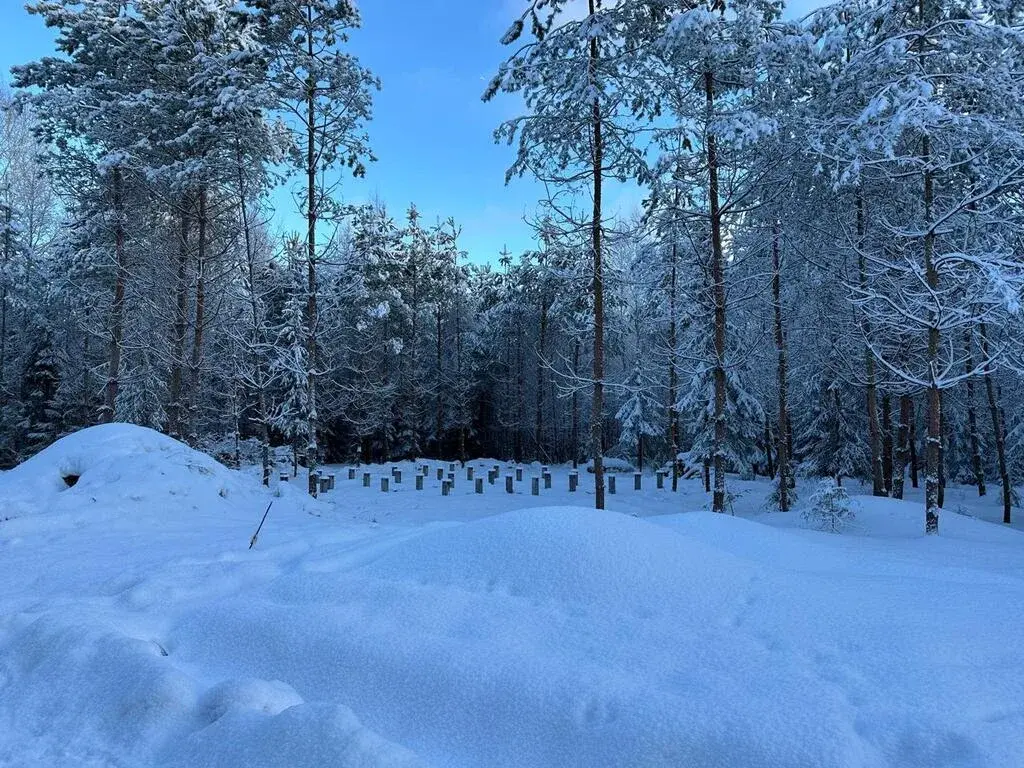 Земельный участок в д. Ермолино. - Фото 2