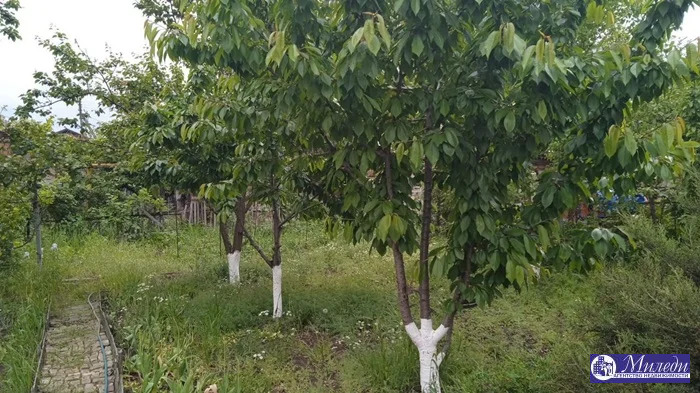 Продажа дома, Батайск, ул. Левченко - Фото 14
