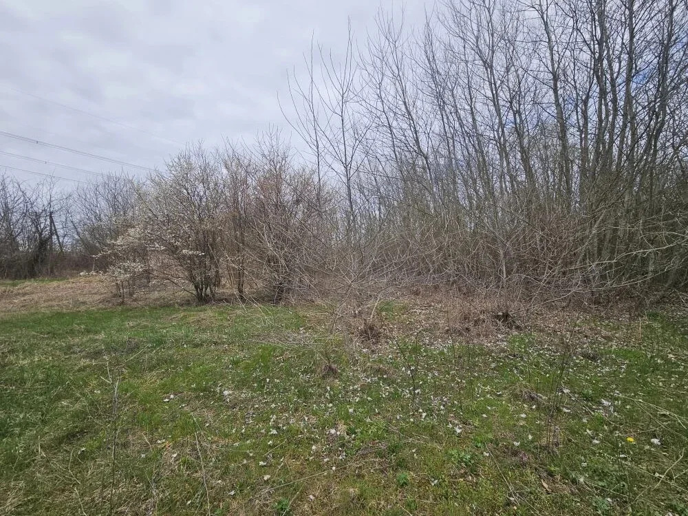 Продажа участка, Мингрельская, Абинский район - Фото 14