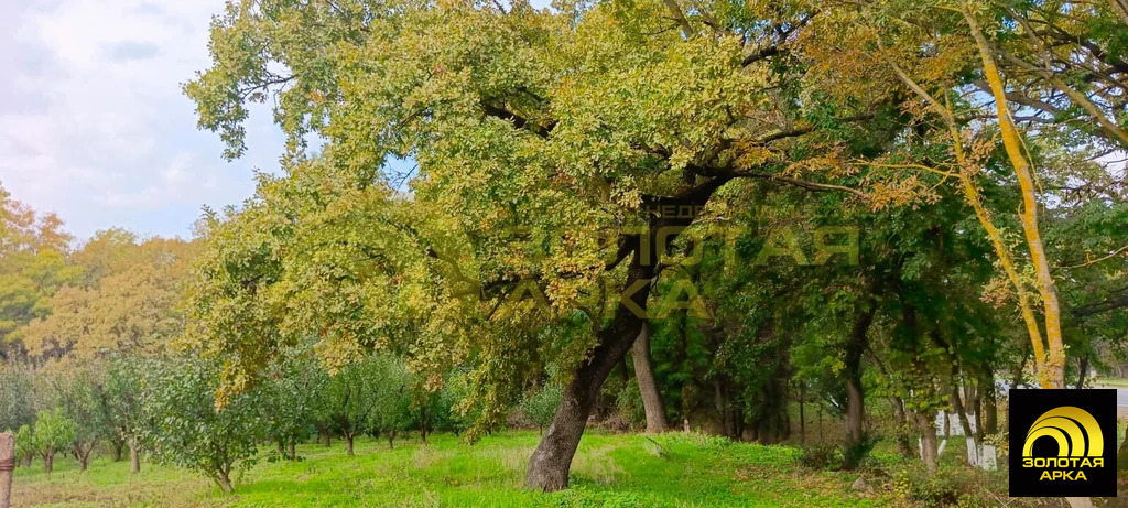 Продажа участка, Павловский, Крымский район, ул. Красная - Фото 8