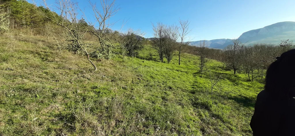 Продажа участка, Аромат, Бахчисарайский район, ул. Ялтинская - Фото 5