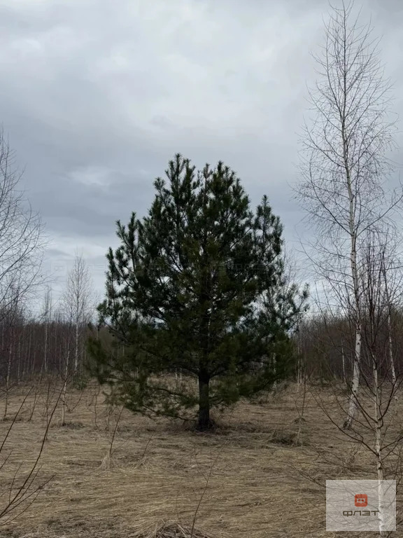 Продажа участка, Большие Кургузи, Зеленодольский район, ул. Солнечная - Фото 1