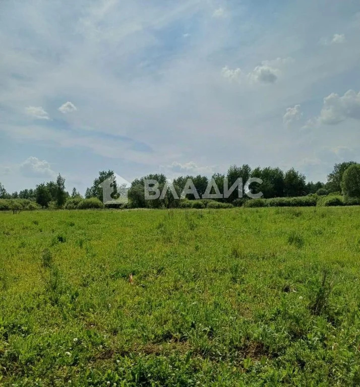 Раменский городской округ, деревня Сафоново, 2-я Совхозная улица,  ... - Фото 1