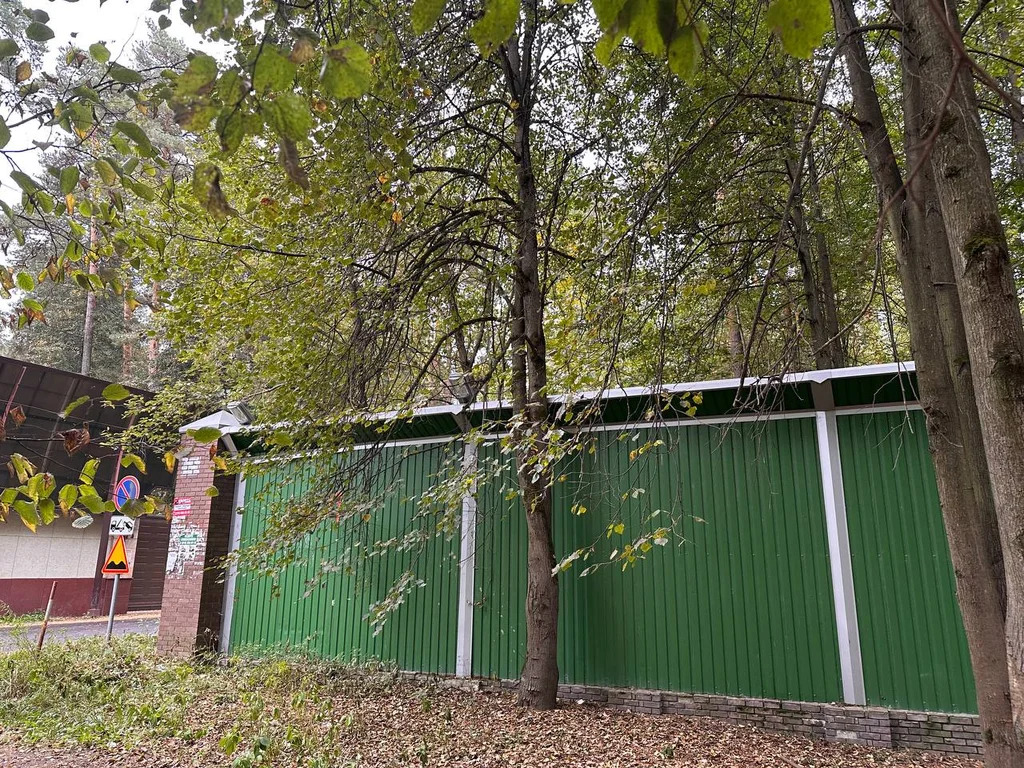 Передача прав и обязанностей арендатора на лес. участ. 800 сот., МО - Фото 4