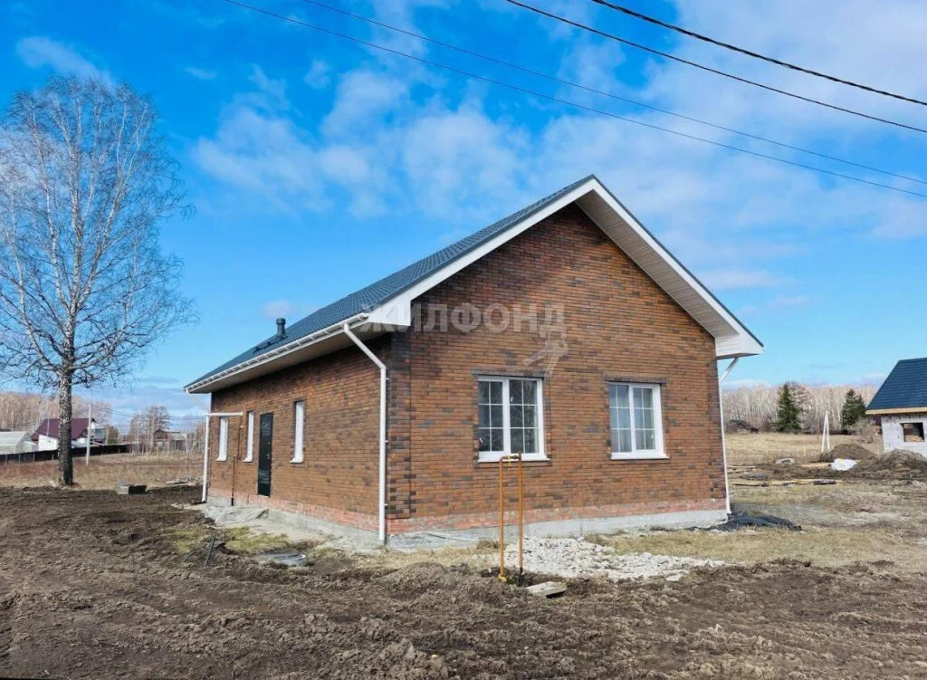 Продажа дома, Воробьевский, Новосибирский район, Ясная - Фото 2