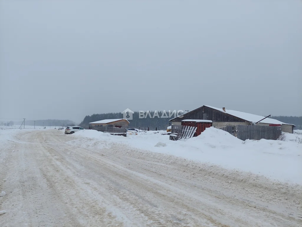 Производственное на продажу, Судогодский район, село Мошок, улица ... - Фото 34