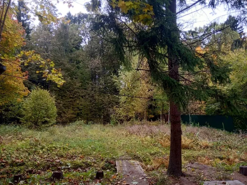 Продажа лесного участка в стародачном посёлке на Рублевке 20км от мкад - Фото 18
