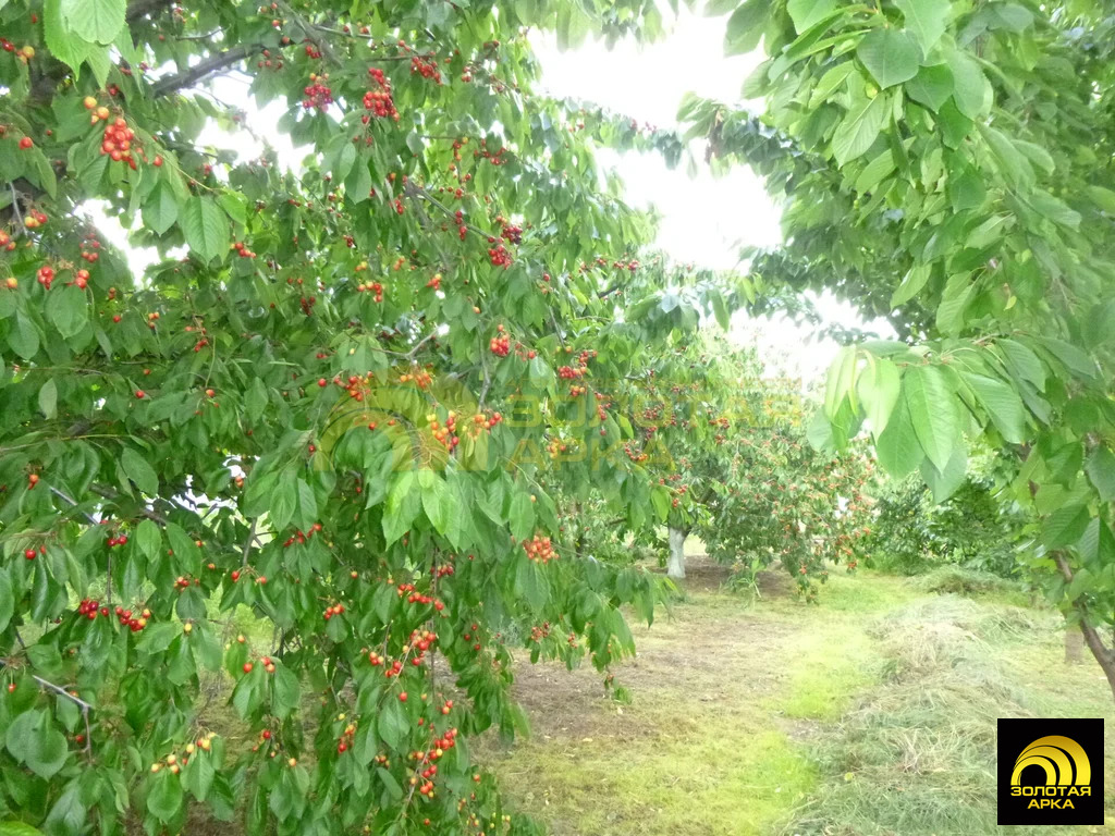 Продажа дома, Вышестеблиевская, Темрюкский район, Советский пер. - Фото 20