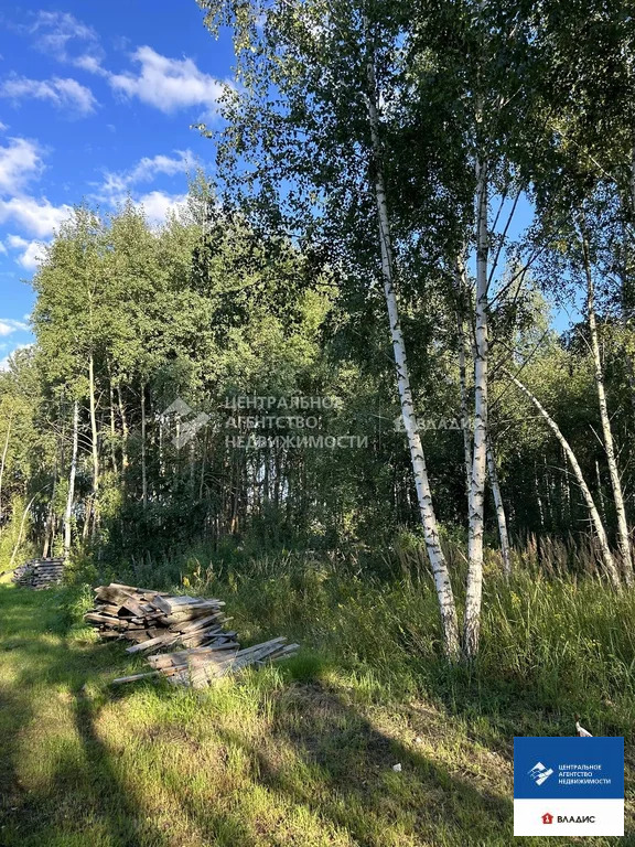 Продажа участка, Дубровичи, Рязанский район - Фото 10