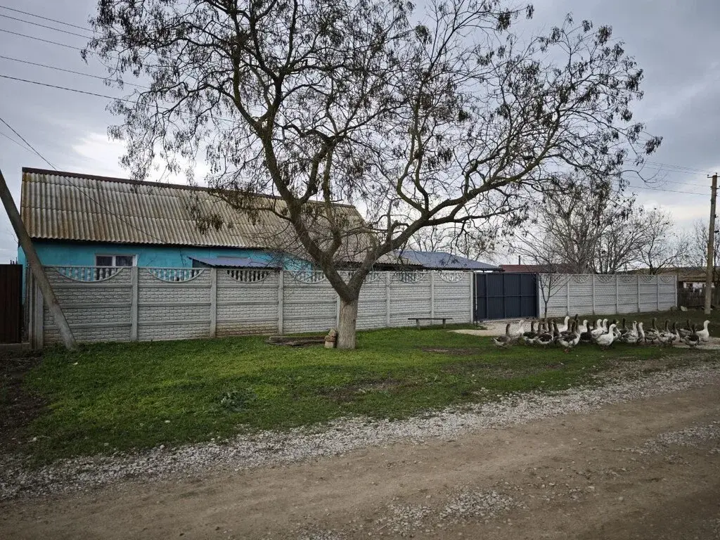 Дом на просторном участке - Фото 7