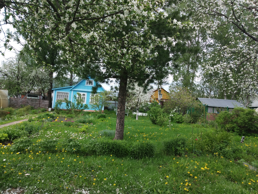 Снт Дядин Лог Красноярск Купить Дачу