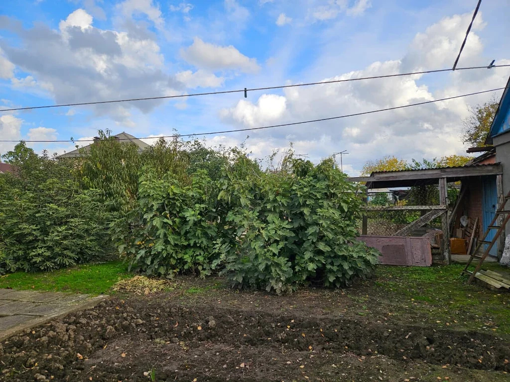 Продажа дома, Абинск, Абинский район, ул. Свободы - Фото 35