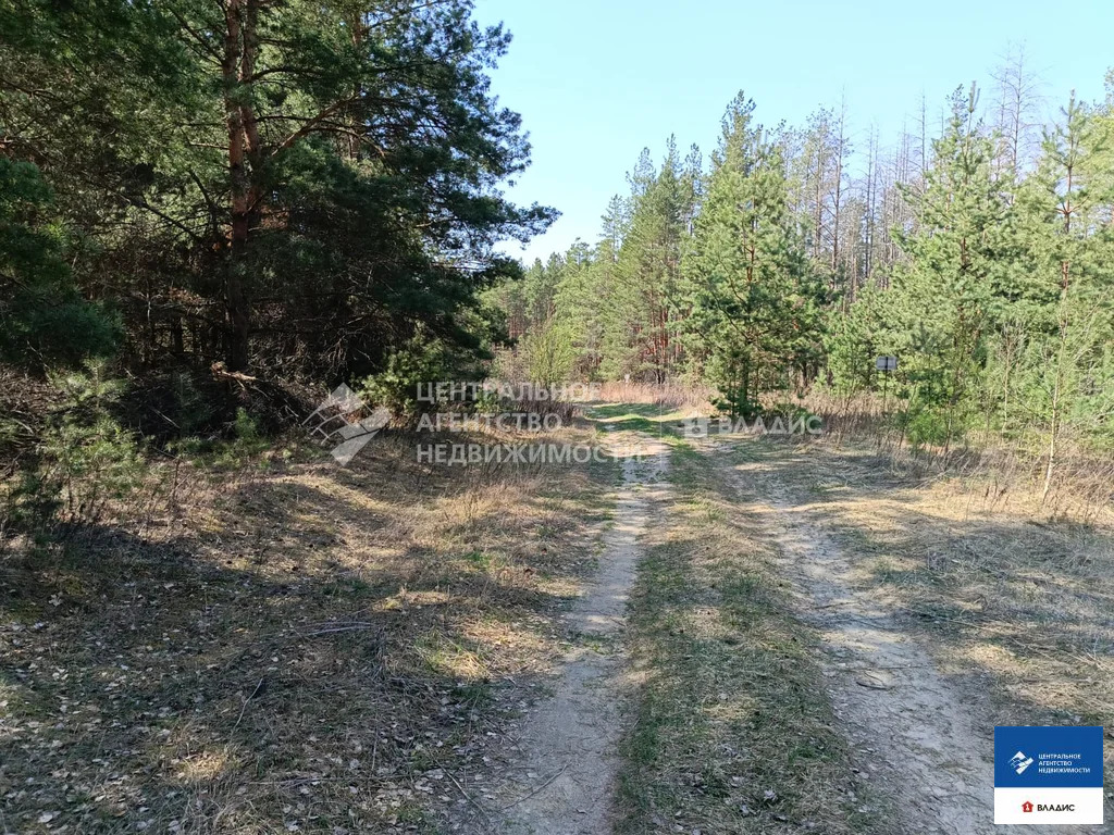 Продажа участка, Спасский район - Фото 1